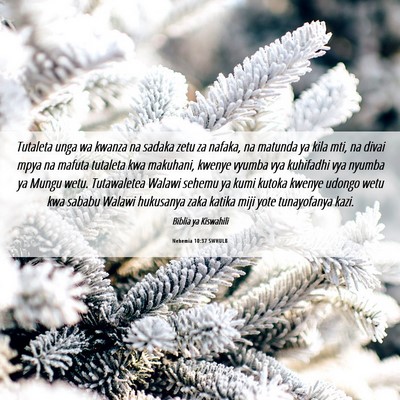 Picture 06 - Nehemia 10:37 SWHULB - Tutaleta unga wa kwanza na sadaka zetu za nafaka, - Bible Verse Picture