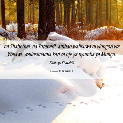Picture 06 - Nehemia 11:16 SWHULB - na Shabethai, na Yozabadi, ambao walikuwa ni - Bible Verse Picture