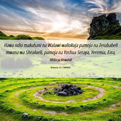Picture 06 - Nehemia 12:1 SWHULB - Hawa ndio makuhani na Walawi waliokuja pamoja na - Bible Verse Picture