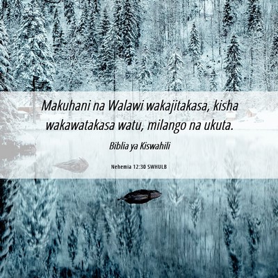 Picture 06 - Nehemia 12:30 SWHULB - Makuhani na Walawi wakajitakasa, kisha - Bible Verse Picture