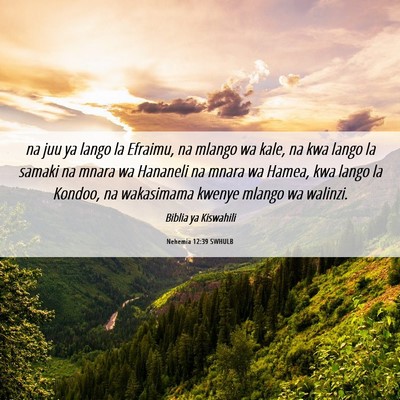 Picture 06 - Nehemia 12:39 SWHULB - na juu ya lango la Efraimu, na mlango wa kale, na - Bible Verse Picture
