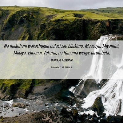 Picture 06 - Nehemia 12:41 SWHULB - Na makuhani wakachukua nafasi zao Eliakimu, - Bible Verse Picture