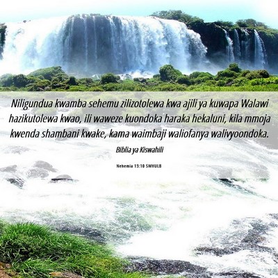 Picture 06 - Nehemia 13:10 SWHULB - Niligundua kwamba sehemu zilizotolewa kwa ajili - Bible Verse Picture