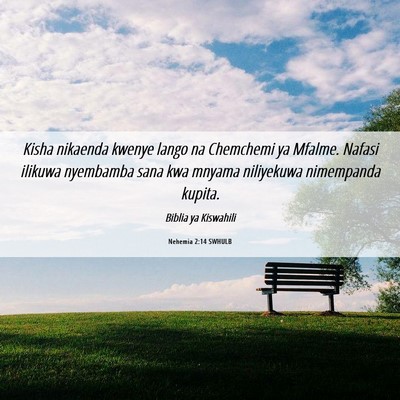 Picture 06 - Nehemia 2:14 SWHULB - Kisha nikaenda kwenye lango na Chemchemi ya - Bible Verse Picture