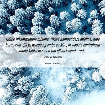 Picture 06 - Nehemia 2:7 SWHULB - Ndipo nikamwambia mfalme, “Ikiwa itampendeza - Bible Verse Picture