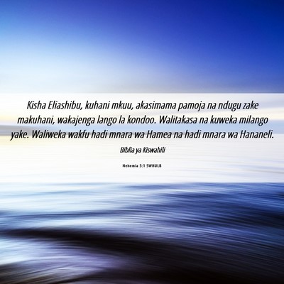 Picture 06 - Nehemia 3:1 SWHULB - Kisha Eliashibu, kuhani mkuu, akasimama pamoja na - Bible Verse Picture