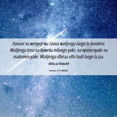 Picture 06 - Nehemia 3:13 SWHULB - Hanuni na wenyeji wa Zanoa walijenga lango la - Bible Verse Picture