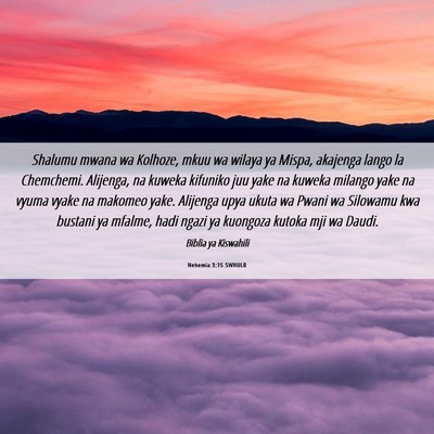 Picture 06 - Nehemia 3:15 SWHULB - Shalumu mwana wa Kolhoze, mkuu wa wilaya ya - Bible Verse Picture