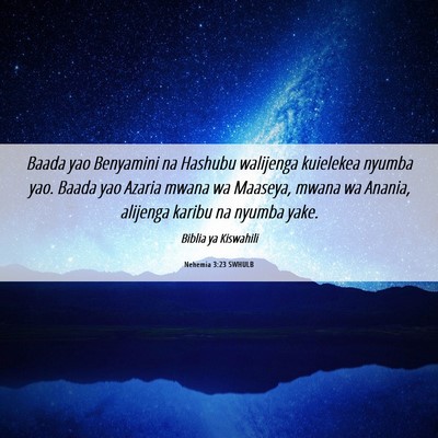 Picture 06 - Nehemia 3:23 SWHULB - Baada yao Benyamini na Hashubu walijenga - Bible Verse Picture