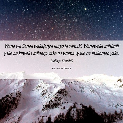 Picture 06 - Nehemia 3:3 SWHULB - Wana wa Senaa wakajenga lango la samaki. Wanaweka - Bible Verse Picture