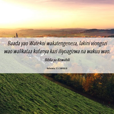 Picture 06 - Nehemia 3:5 SWHULB - Baada yao Watekoi wakatengeneza, lakini viongozi - Bible Verse Picture