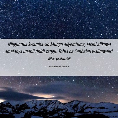 Picture 06 - Nehemia 6:12 SWHULB - Niligundua kwamba sio Mungu aliyemtuma, lakini - Bible Verse Picture