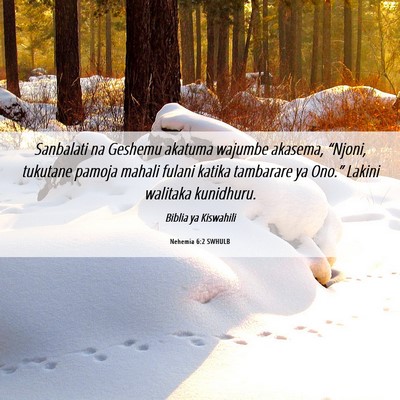 Picture 06 - Nehemia 6:2 SWHULB - Sanbalati na Geshemu akatuma wajumbe akasema, - Bible Verse Picture