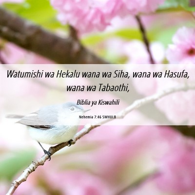 Picture 06 - Nehemia 7:46 SWHULB - Watumishi wa Hekalu wana wa Siha, wana wa Hasufa, - Bible Verse Picture