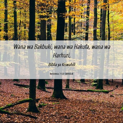 Picture 06 - Nehemia 7:53 SWHULB - Wana wa Bakbuki, wana wa Hakufa, wana wa - Bible Verse Picture