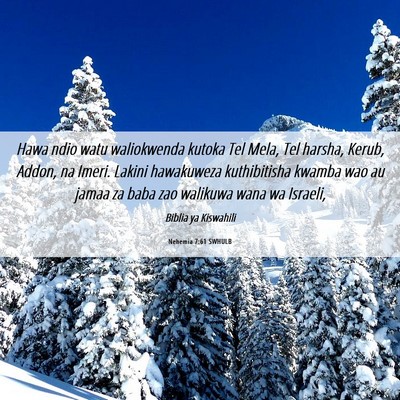 Picture 06 - Nehemia 7:61 SWHULB - Hawa ndio watu waliokwenda kutoka Tel Mela, Tel - Bible Verse Picture
