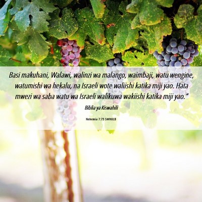Picture 06 - Nehemia 7:73 SWHULB - Basi makuhani, Walawi, walinzi wa malango, - Bible Verse Picture
