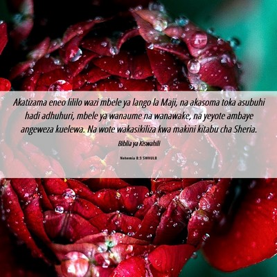 Picture 06 - Nehemia 8:3 SWHULB - Akatizama eneo lililo wazi mbele ya lango la - Bible Verse Picture