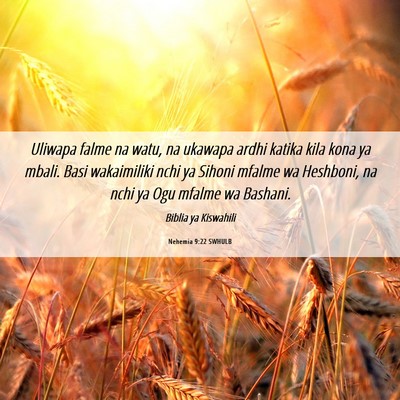Picture 06 - Nehemia 9:22 SWHULB - Uliwapa falme na watu, na ukawapa ardhi katika - Bible Verse Picture