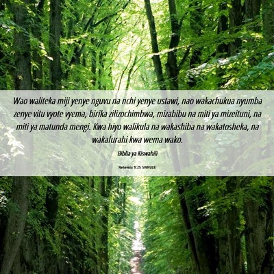 Picture 06 - Nehemia 9:25 SWHULB - Wao waliteka miji yenye nguvu na nchi yenye - Bible Verse Picture