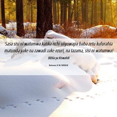 Picture 06 - Nehemia 9:36 SWHULB - Sasa sisi ni watumwa katika nchi uliyowapa baba - Bible Verse Picture