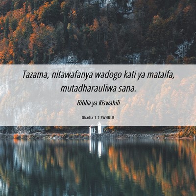 Picture 06 - Obadia 1:2 SWHULB - Tazama, nitawafanya wadogo kati ya mataifa, - Bible Verse Picture