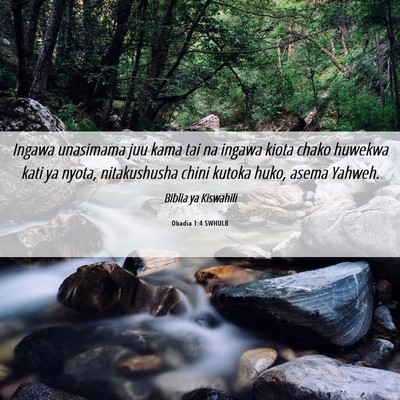 Picture 06 - Obadia 1:4 SWHULB - Ingawa unasimama juu kama tai na ingawa kiota - Bible Verse Picture