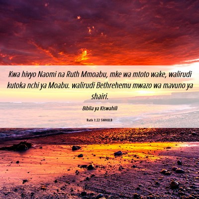 Picture 06 - Ruth 1:22 SWHULB - Kwa hivyo Naomi na Ruth Mmoabu, mke wa mtoto - Bible Verse Picture
