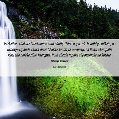 Picture 06 - Ruth 2:14 SWHULB - Wakati wa chakula Boazi alimwambia Ruth, “Njoo - Bible Verse Picture