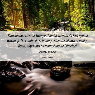 Picture 06 - Ruth 2:3 SWHULB - Ruth alienda kuvuna kwenye shamba akiwafuata kwa - Bible Verse Picture