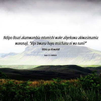 Picture 06 - Ruth 2:5 SWHULB - Ndipo Boazi akamwambia mtumishi wake aliyekuwa - Bible Verse Picture