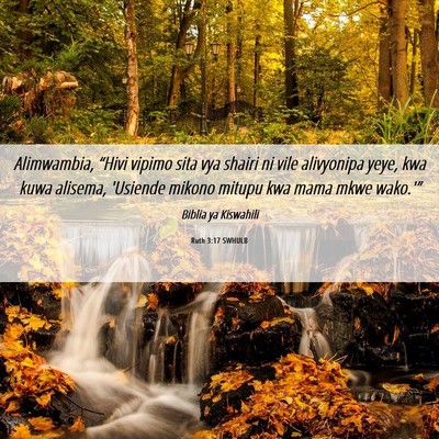 Picture 06 - Ruth 3:17 SWHULB - Alimwambia, “Hivi vipimo sita vya shairi ni - Bible Verse Picture