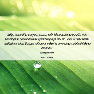 Picture 06 - Sefania 2:14 SWHULB - Ndipo makundi ya wanyama yatalala pale, kila - Bible Verse Picture