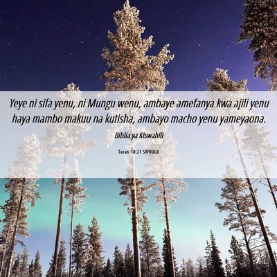 Picture 06 - Torati 10:21 SWHULB - Yeye ni sifa yenu, ni Mungu wenu, ambaye amefanya - Bible Verse Picture