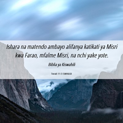 Picture 06 - Torati 11:3 SWHULB - Ishara na matendo ambayo alifanya katikati ya - Bible Verse Picture