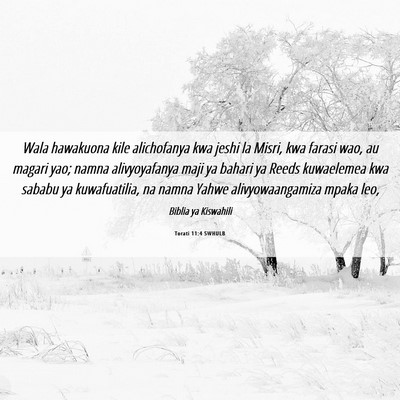 Picture 06 - Torati 11:4 SWHULB - Wala hawakuona kile alichofanya kwa jeshi la - Bible Verse Picture