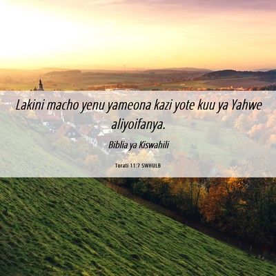 Picture 06 - Torati 11:7 SWHULB - Lakini macho yenu yameona kazi yote kuu ya Yahwe - Bible Verse Picture