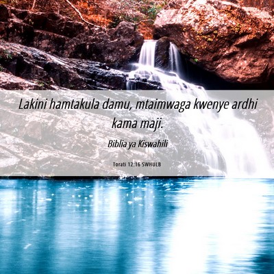 Picture 06 - Torati 12:16 SWHULB - Lakini hamtakula damu, mtaimwaga kwenye ardhi - Bible Verse Picture