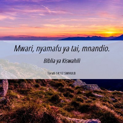 Picture 06 - Torati 14:17 SWHULB - Mwari, nyamafu ya tai, - Bible Verse Picture