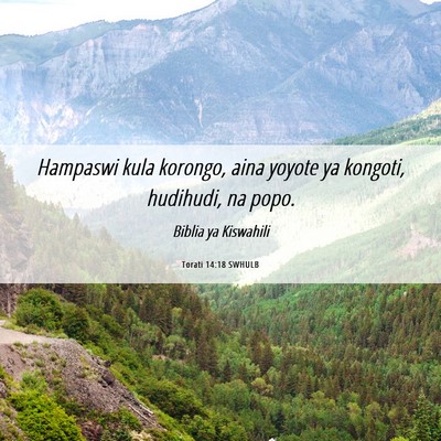 Picture 06 - Torati 14:18 SWHULB - Hampaswi kula korongo, aina yoyote ya kongoti, - Bible Verse Picture