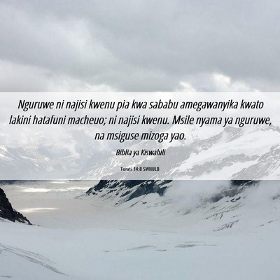 Picture 06 - Torati 14:8 SWHULB - Nguruwe ni najisi kwenu pia kwa sababu - Bible Verse Picture