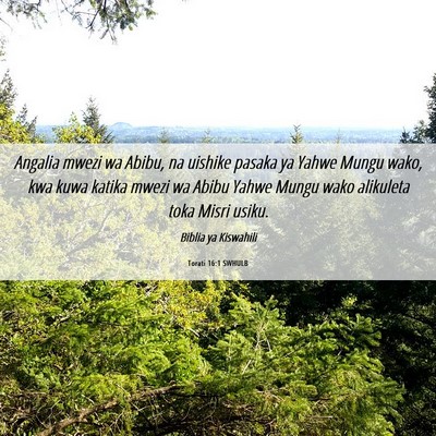 Picture 06 - Torati 16:1 SWHULB - Angalia mwezi wa Abibu, na uishike pasaka ya - Bible Verse Picture