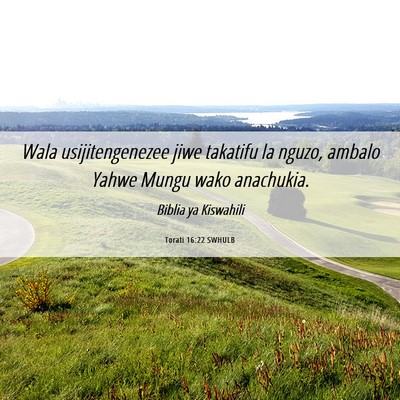 Picture 06 - Torati 16:22 SWHULB - Wala usijitengenezee jiwe takatifu la nguzo, - Bible Verse Picture
