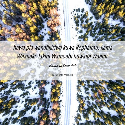 Picture 06 - Torati 2:11 SWHULB - hawa pia wanafikiriwa kuwa Rephaimu, kama - Bible Verse Picture