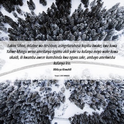 Picture 06 - Torati 2:30 SWHULB - Lakini Sihon, mfalme wa Heshbon, asingeturuhusu - Bible Verse Picture