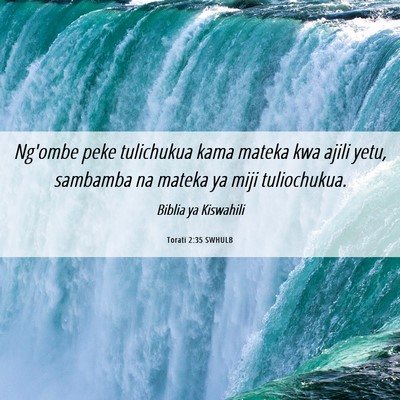 Picture 06 - Torati 2:35 SWHULB - Ng'ombe peke tulichukua kama mateka kwa ajili - Bible Verse Picture