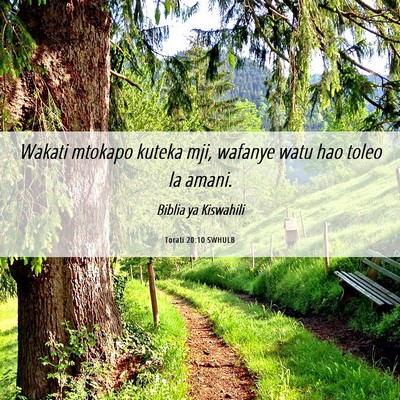 Picture 06 - Torati 20:10 SWHULB - Wakati mtokapo kuteka mji, wafanye watu hao toleo - Bible Verse Picture