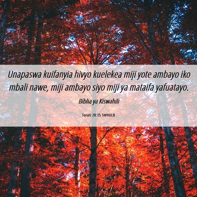 Picture 06 - Torati 20:15 SWHULB - Unapaswa kuifanyia hivyo kuelekea miji yote - Bible Verse Picture