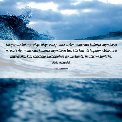 Picture 06 - Torati 22:3 SWHULB - Unapaswa kufanya vivyo hivyo kwa punda wake; - Bible Verse Picture