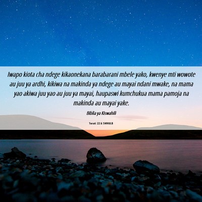 Picture 06 - Torati 22:6 SWHULB - Iwapo kiota cha ndege kikaonekana barabarani - Bible Verse Picture